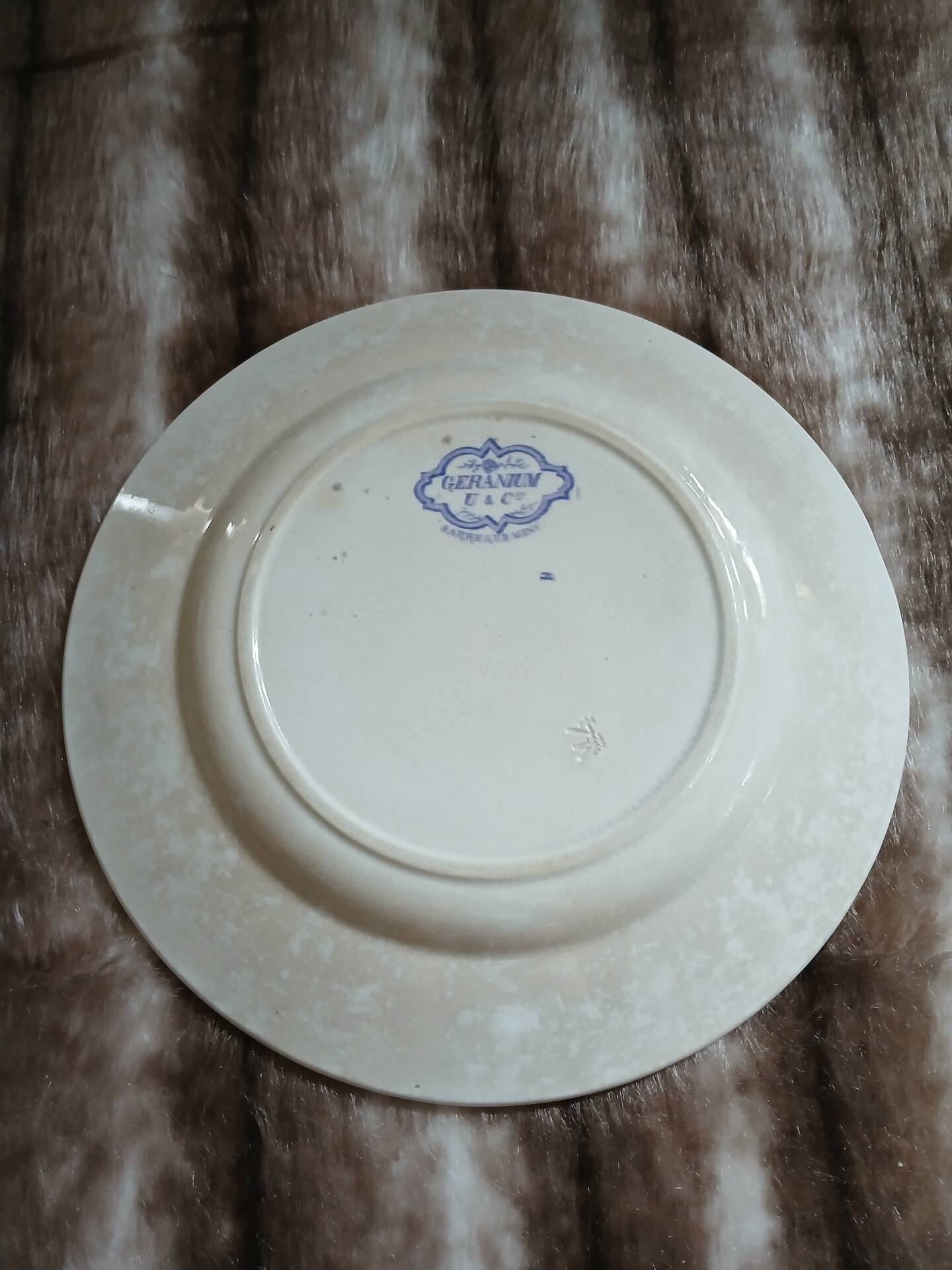Plat ancien en terre de fer Sarreguemines 