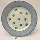 Set of 6 plates flat "digoin sarreguemines" model albe
