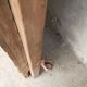Old larch door