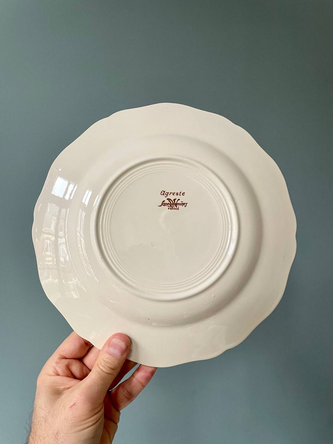 Series of 10 “Agreste” flat plates Sarreguemines France
