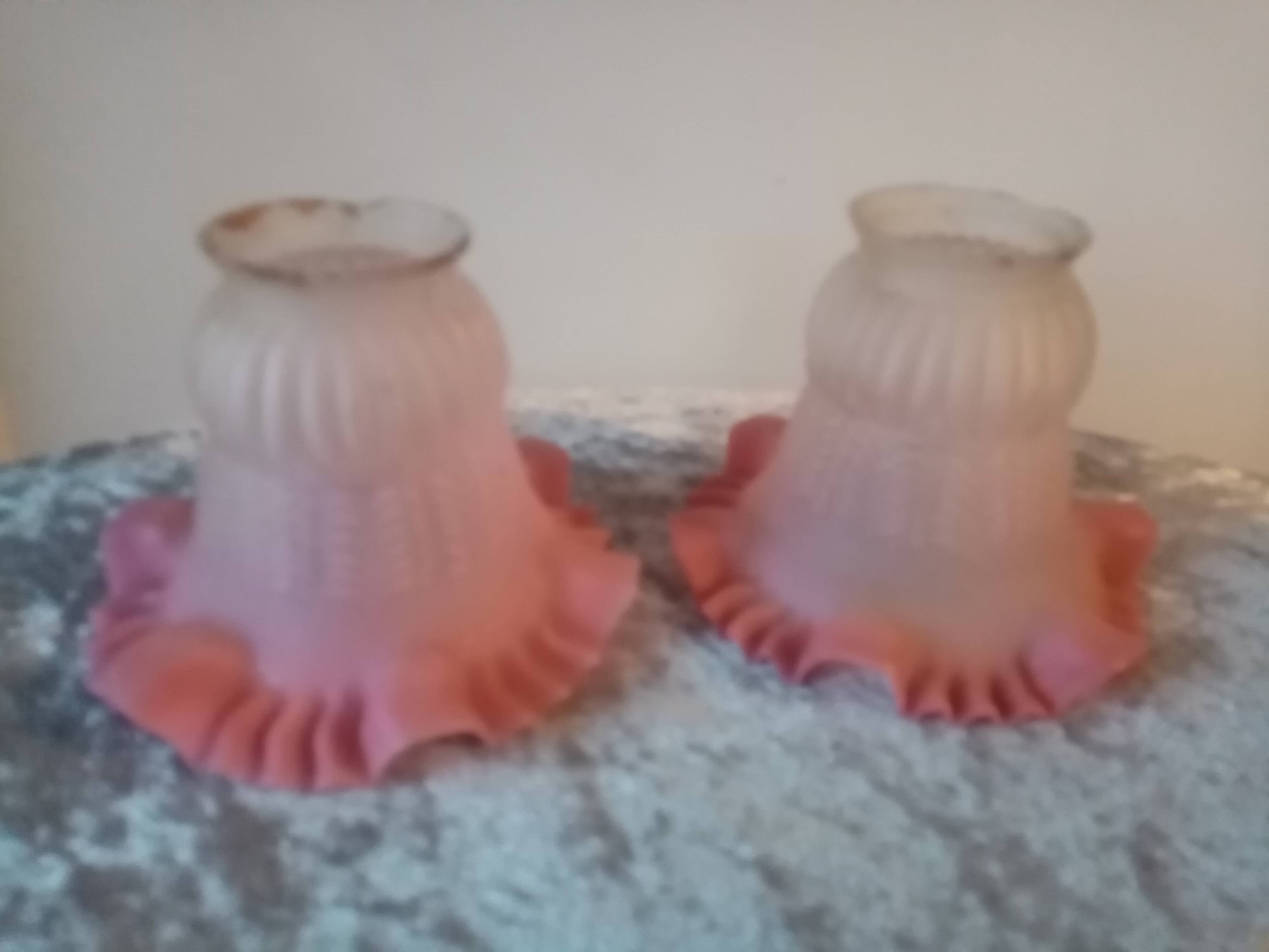 Duo of chandelier tulips or lamp in two-tone opaline