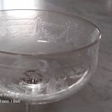 Louis XVI style engraved crystal champagne glass