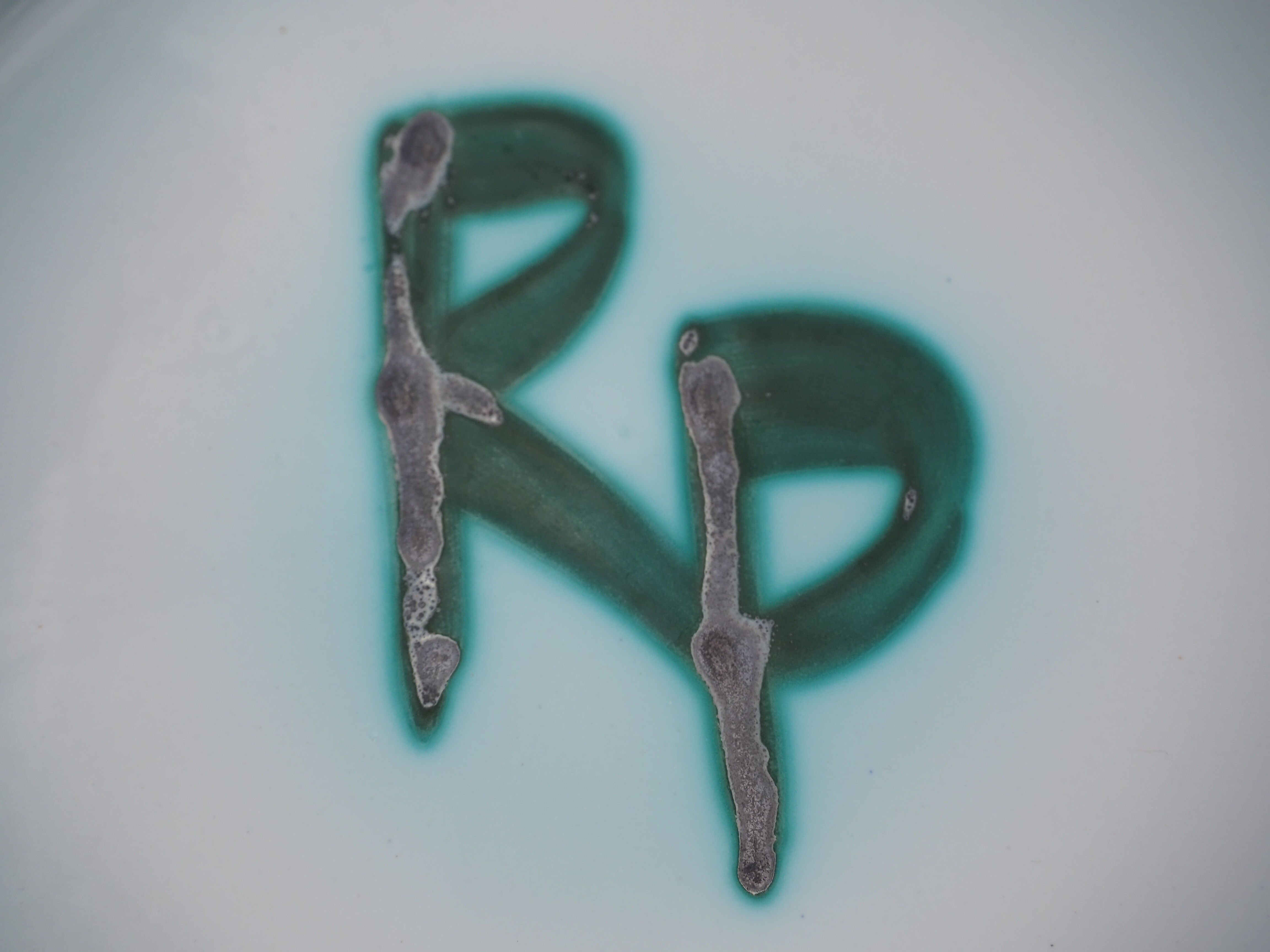 Fish decor plate by Robert Picaud - Vallauris