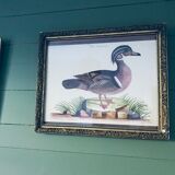 Ancient framed duck