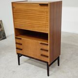 Office Secretary by Frantisek Mezulanik for Up Zavody 1960