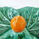 Vintage compartmentalized ceramic serving dish cabbage leaf shape Vallauris style