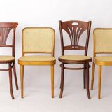 4 chaises de café viennoises en bois et cannage, restaurées, début du XXe siècle