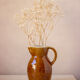 Pitcher in Berry sandstone