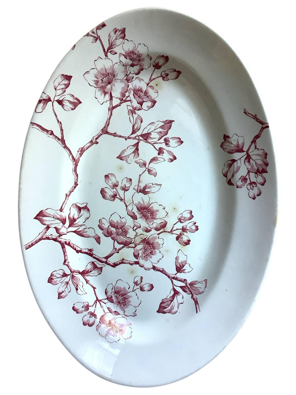 Antique Longwy dish, “Pommier” model in ironstone