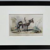 Original Zoological Plate " Mulet " - Buffon 1840