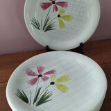 Set of 7 flat plates of Sarreguemines