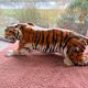 Tiger, Italian sculpture in glazed ceramic.