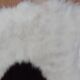 New sheepskin