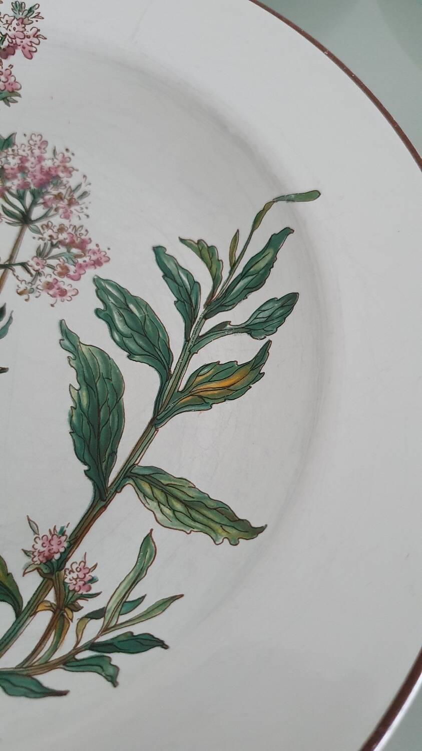 Set of 4 Villeroy and Boch plates, Botanica collection
