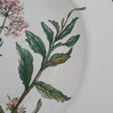 Set of 4 Villeroy and Boch plates, Botanica collection