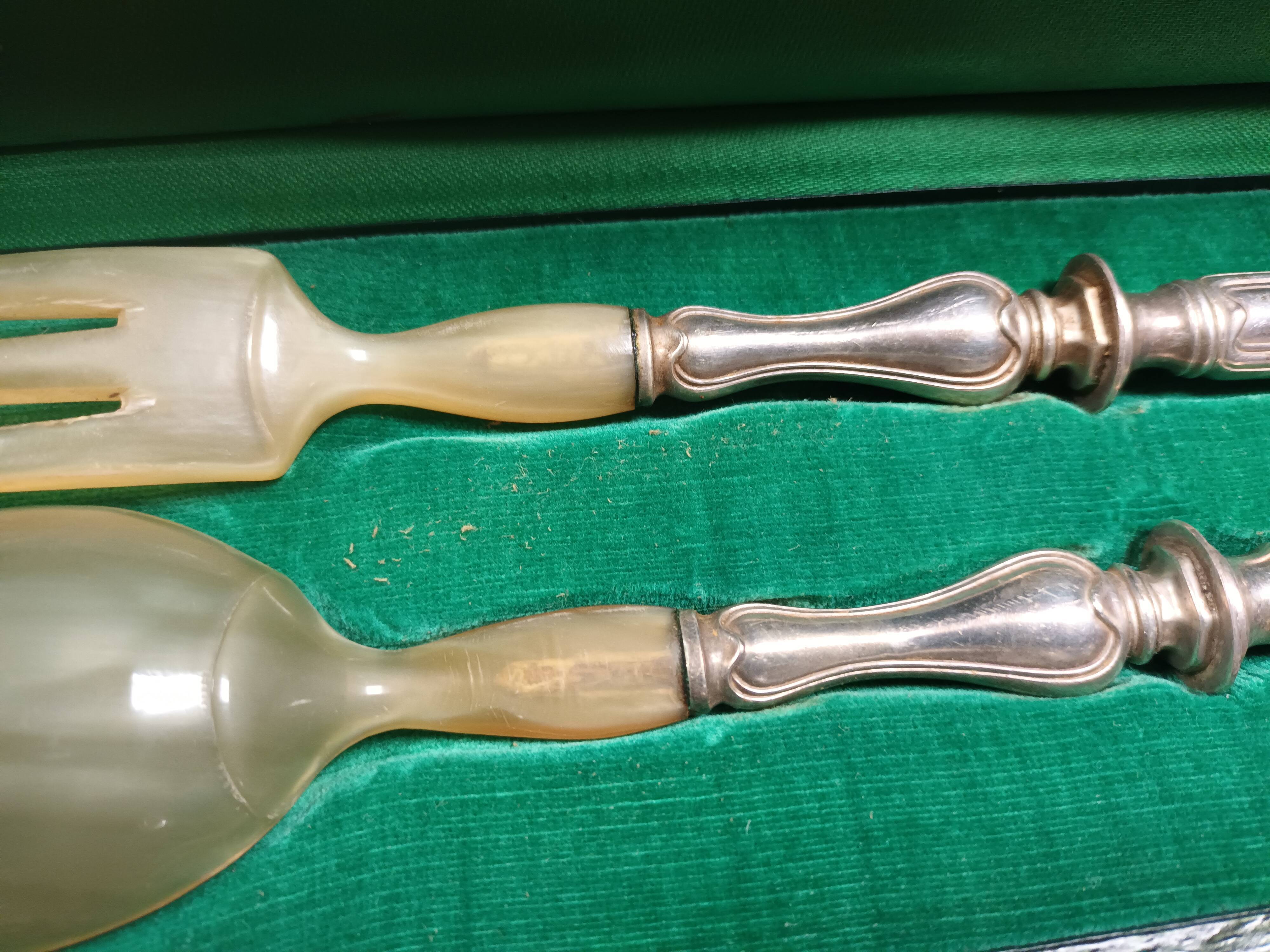 Silver metal cover and horn
