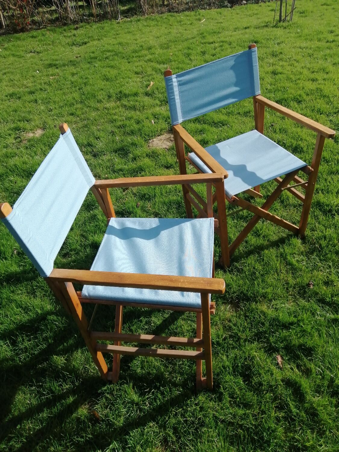 Director's chairs