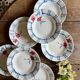 Set of 10 vintage deep plates from Digoin.