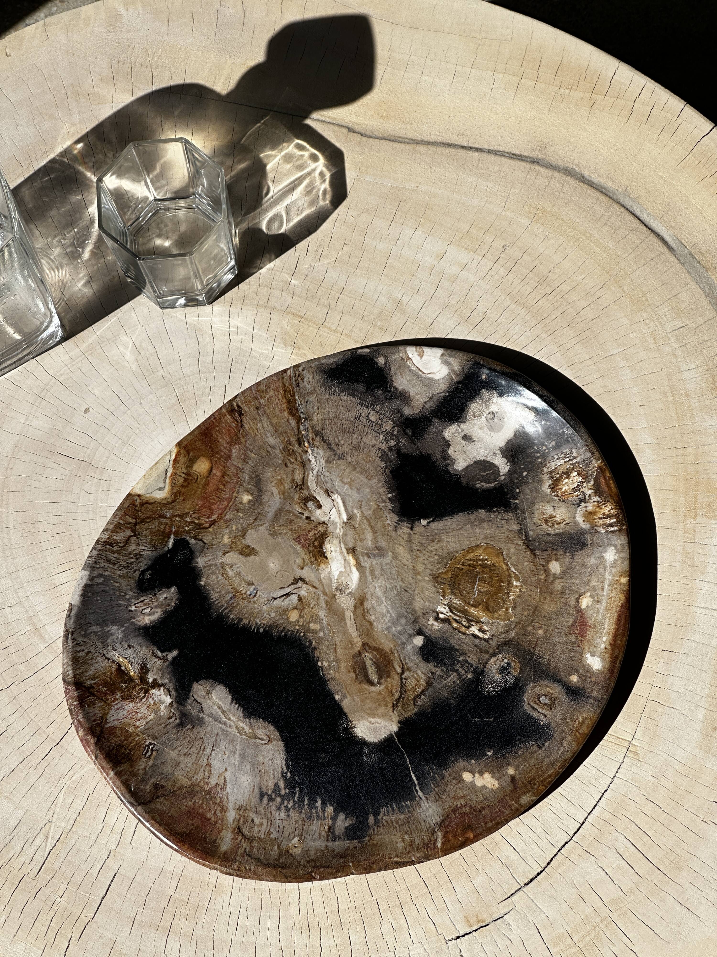 Large empty pocket or dish in petrified wood