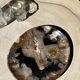 Large empty pocket or dish in petrified wood