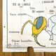 Affiche scolaire l’abeille / Les poissons