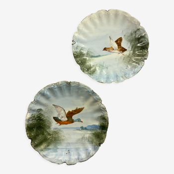 Set of two decorative plates