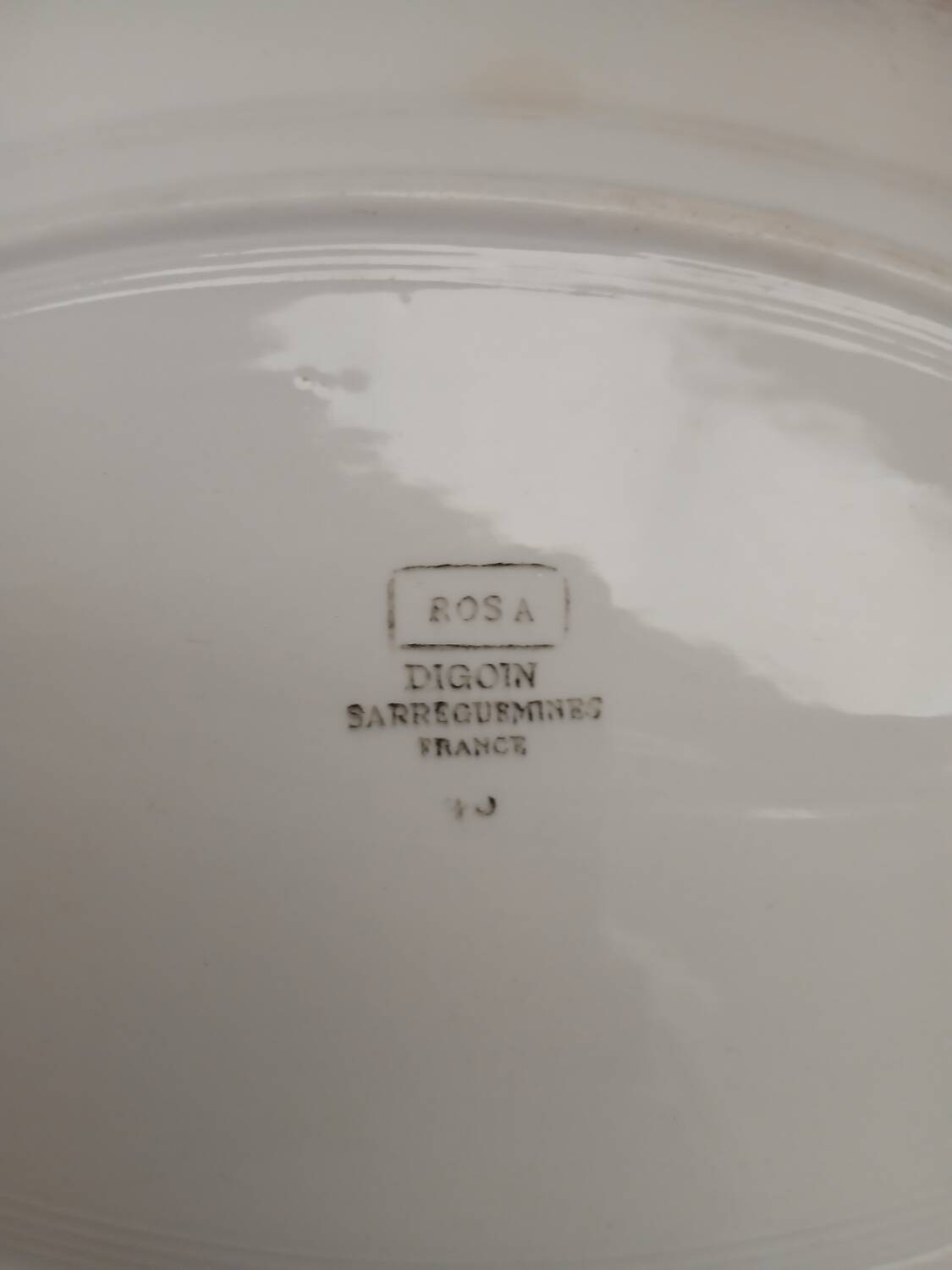 Old Digoin and Sarreguemines dish