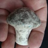 Carafe / liqueur / vinegar bottle - Borty / Vallauris