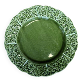 Average plate of cabbage leaf