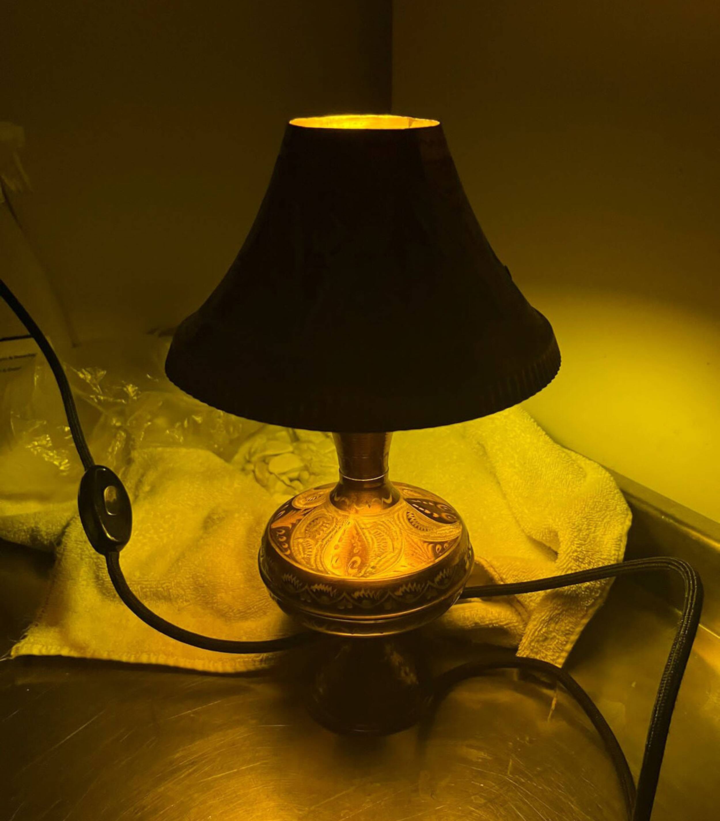 Hand Carved Antique Metal Lamp