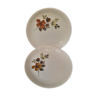 Set of 2 Arcopal plates Autumn decor