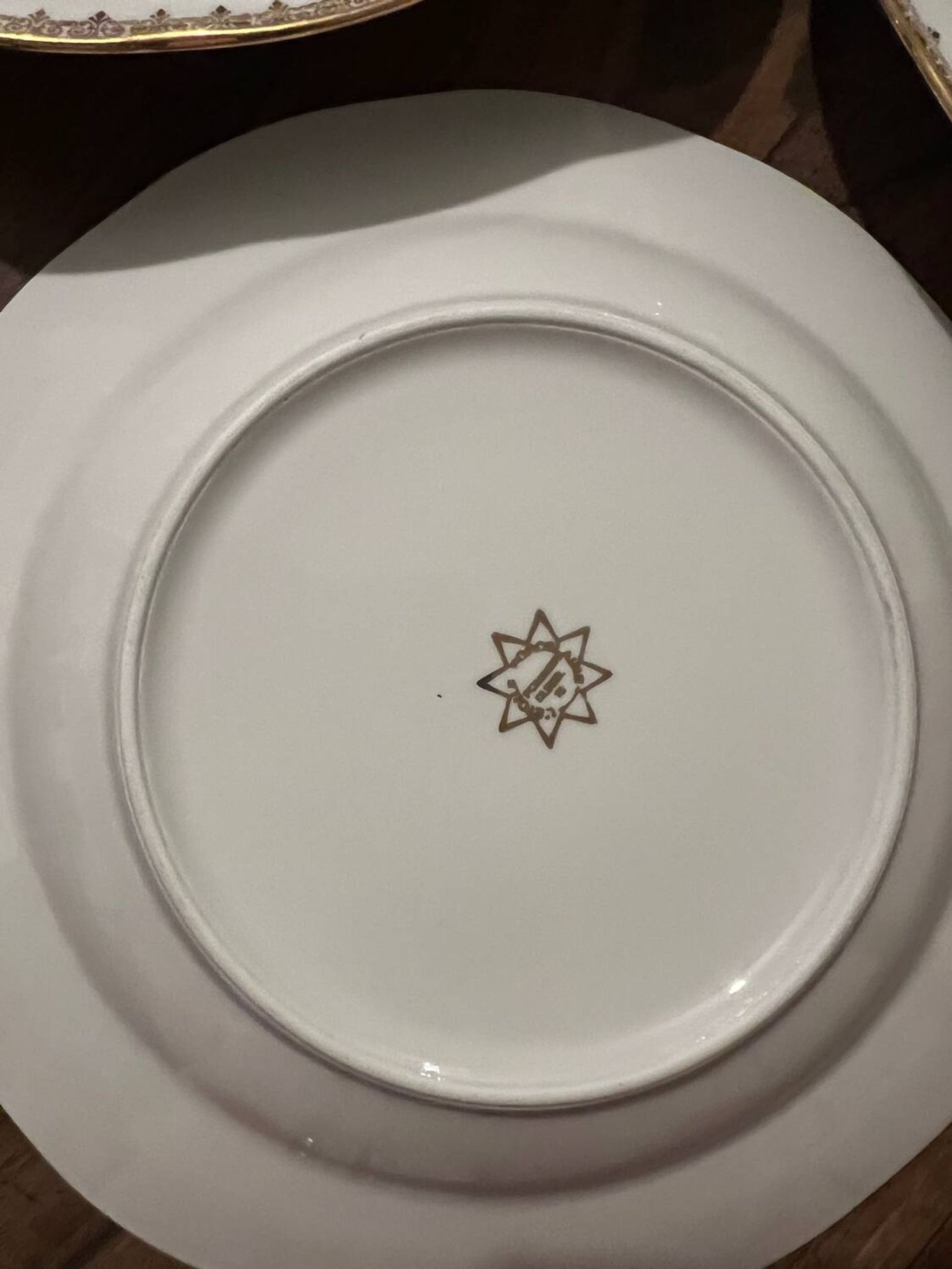 Set of 11 soup plates - Pommier Dureil 72 - L'Étoile Porcelain