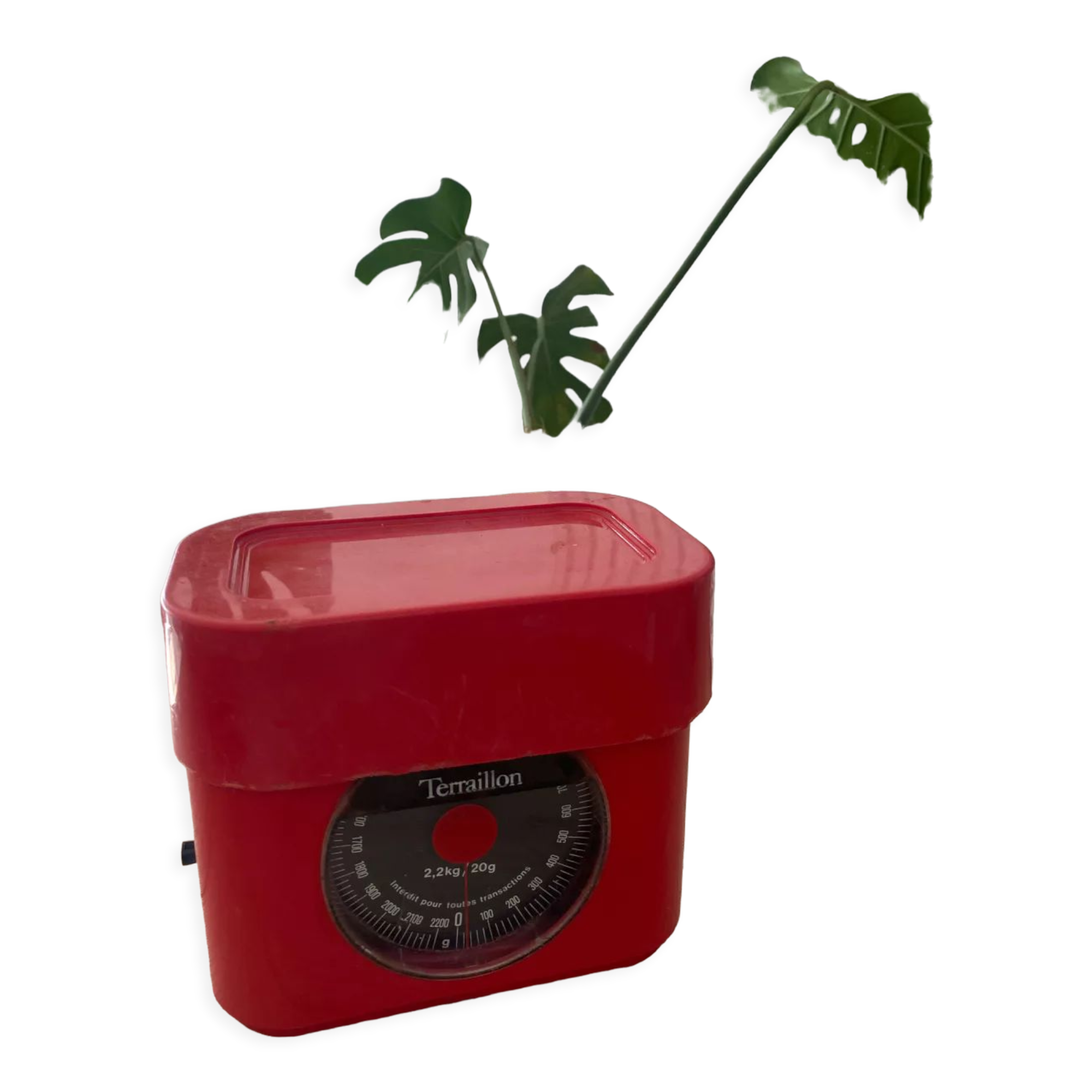 Terraillon kitchen scale