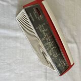 Decorative Radiola nomadic radio