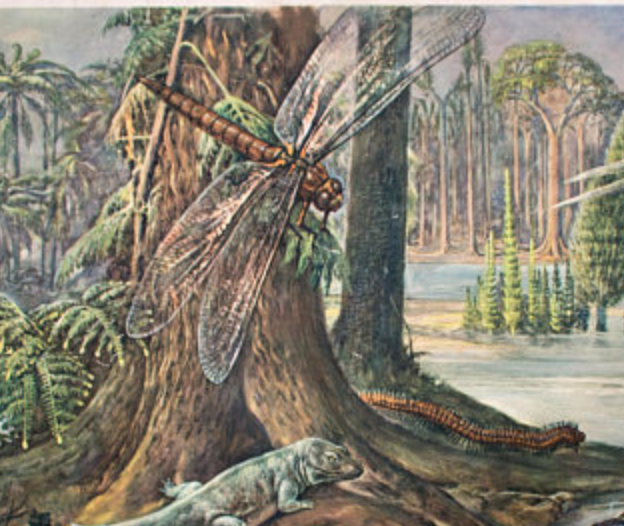 Affiche F. Zerritsch publié par Hoffmanndruc Vienne 1951