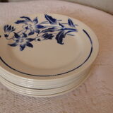 Lot 8 flat plates badonvillersflora model