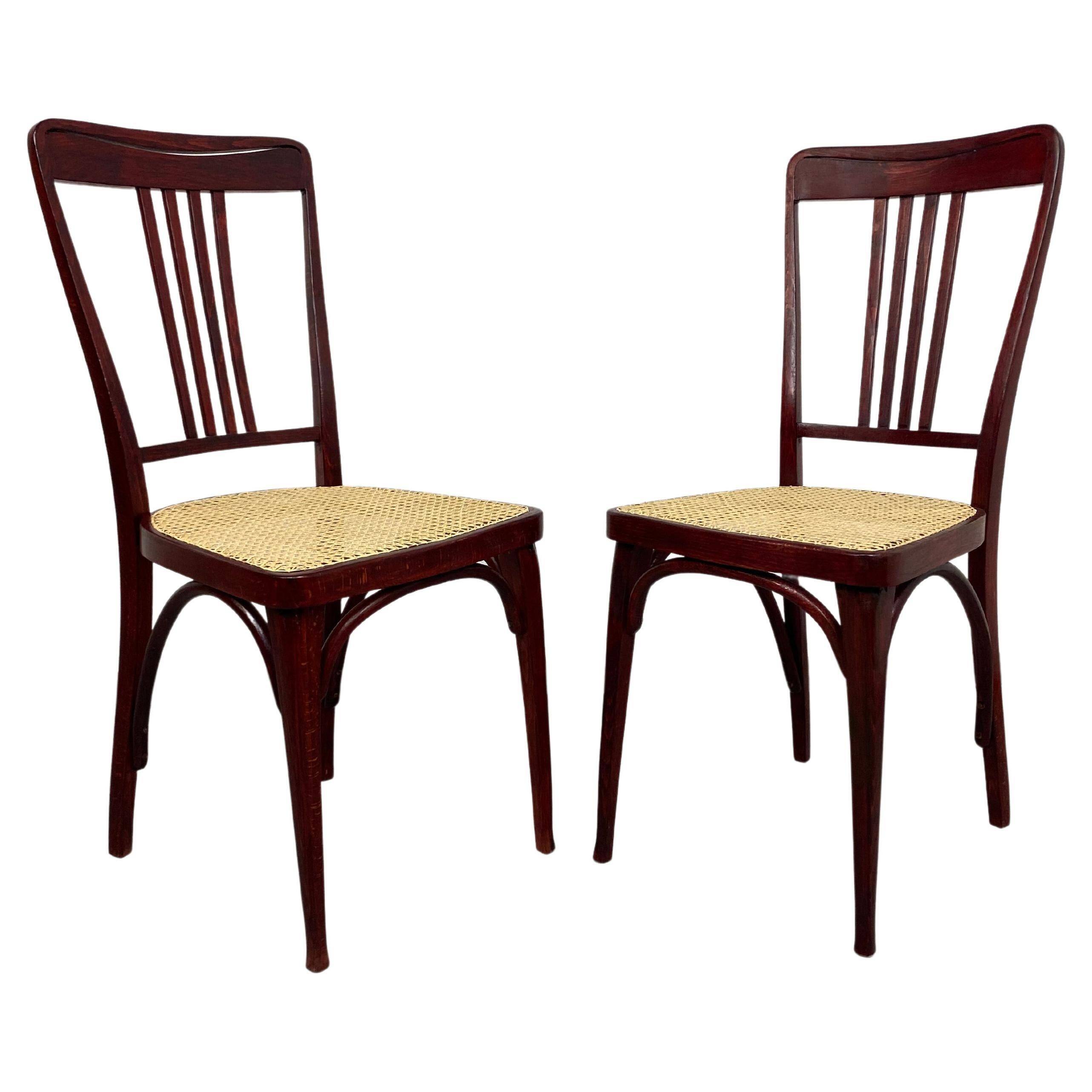 Secession dining chairs by Thonet