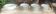 Limoges Porcelain Table Service – F. Legrand – Circa 1920