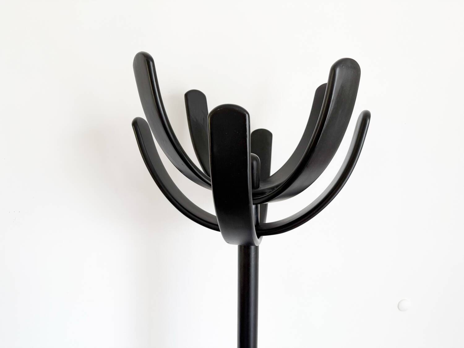 Cactus coat rack by Mauro Pasquinelli, Italy 2970