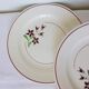 4 vintage flat plates from the Salins factory 210663