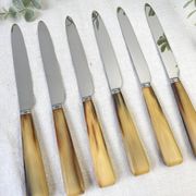 Lot de 6 couteaux de table vintage en corne