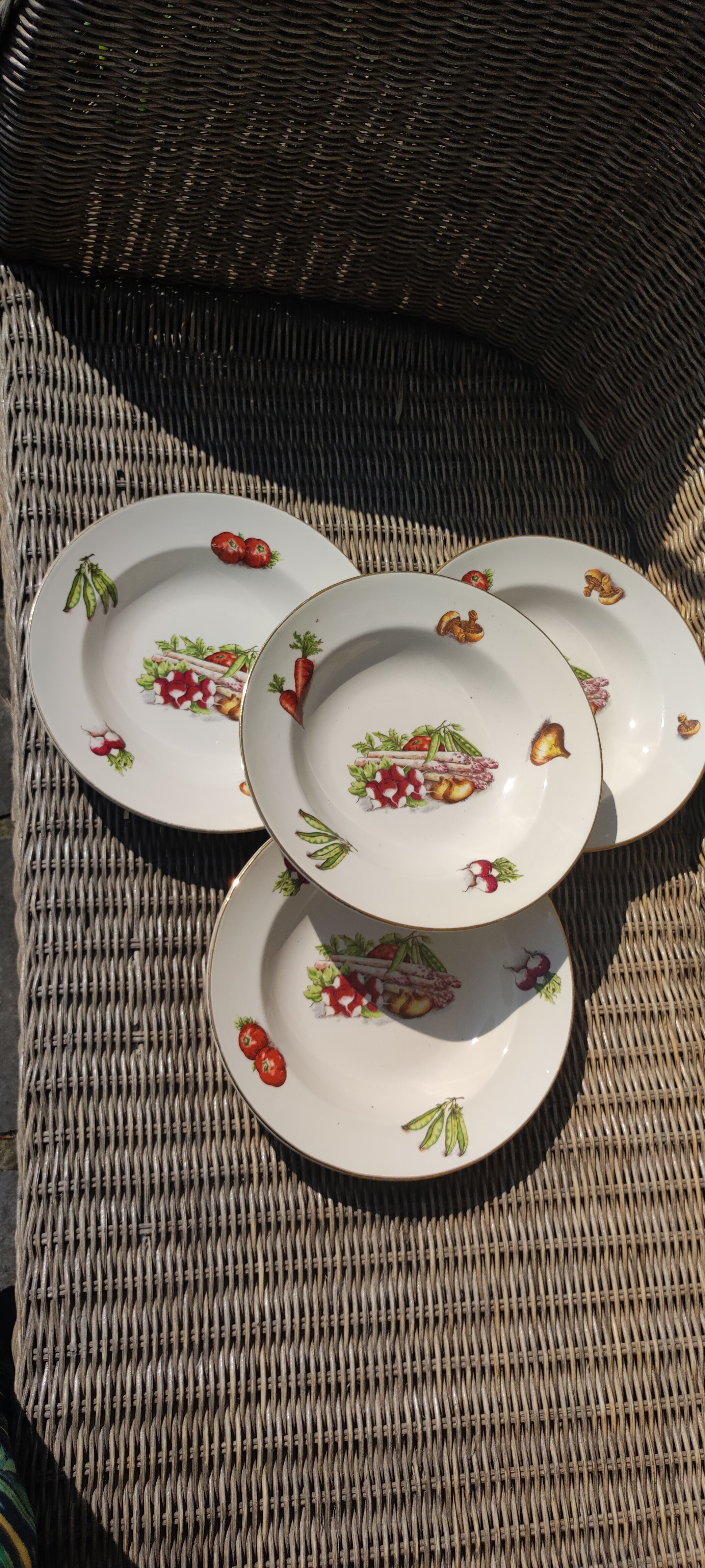 Dishes moulin des loups