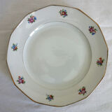 Set de 20 assiettes plates et creuses vintage CHR