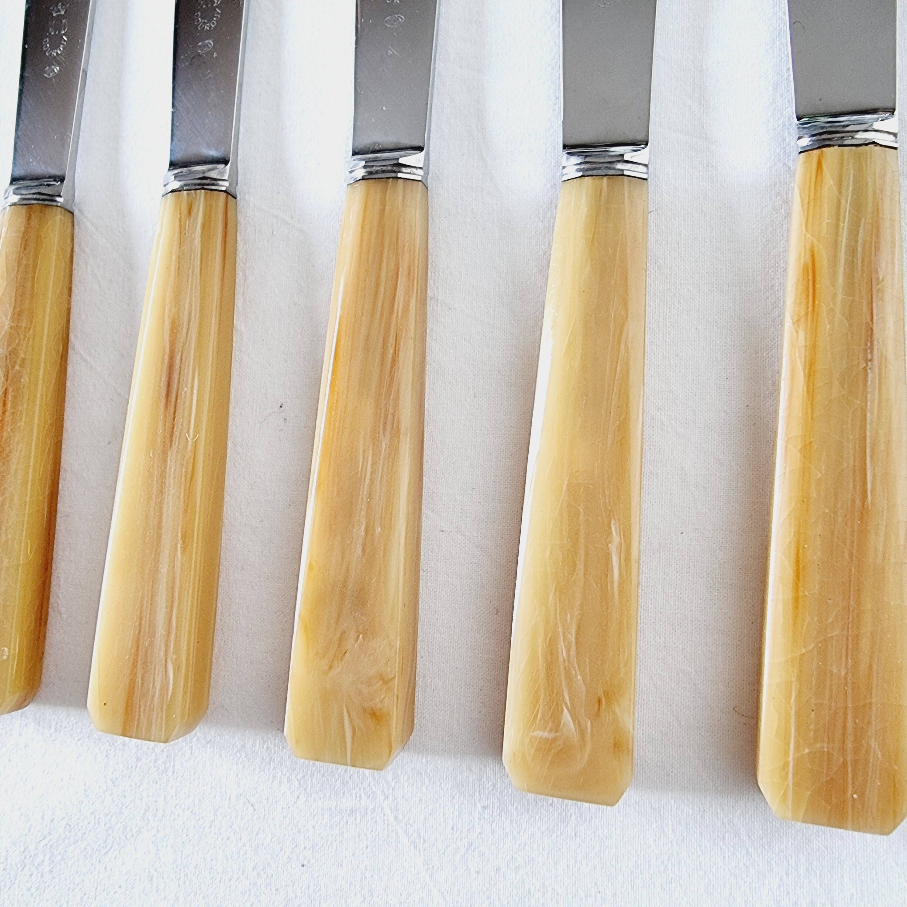 10 table or lunch knives in stainless steel and Messina from the 70s New