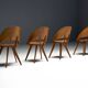 Mid-century plywood dining chairs, Italy, 1950s