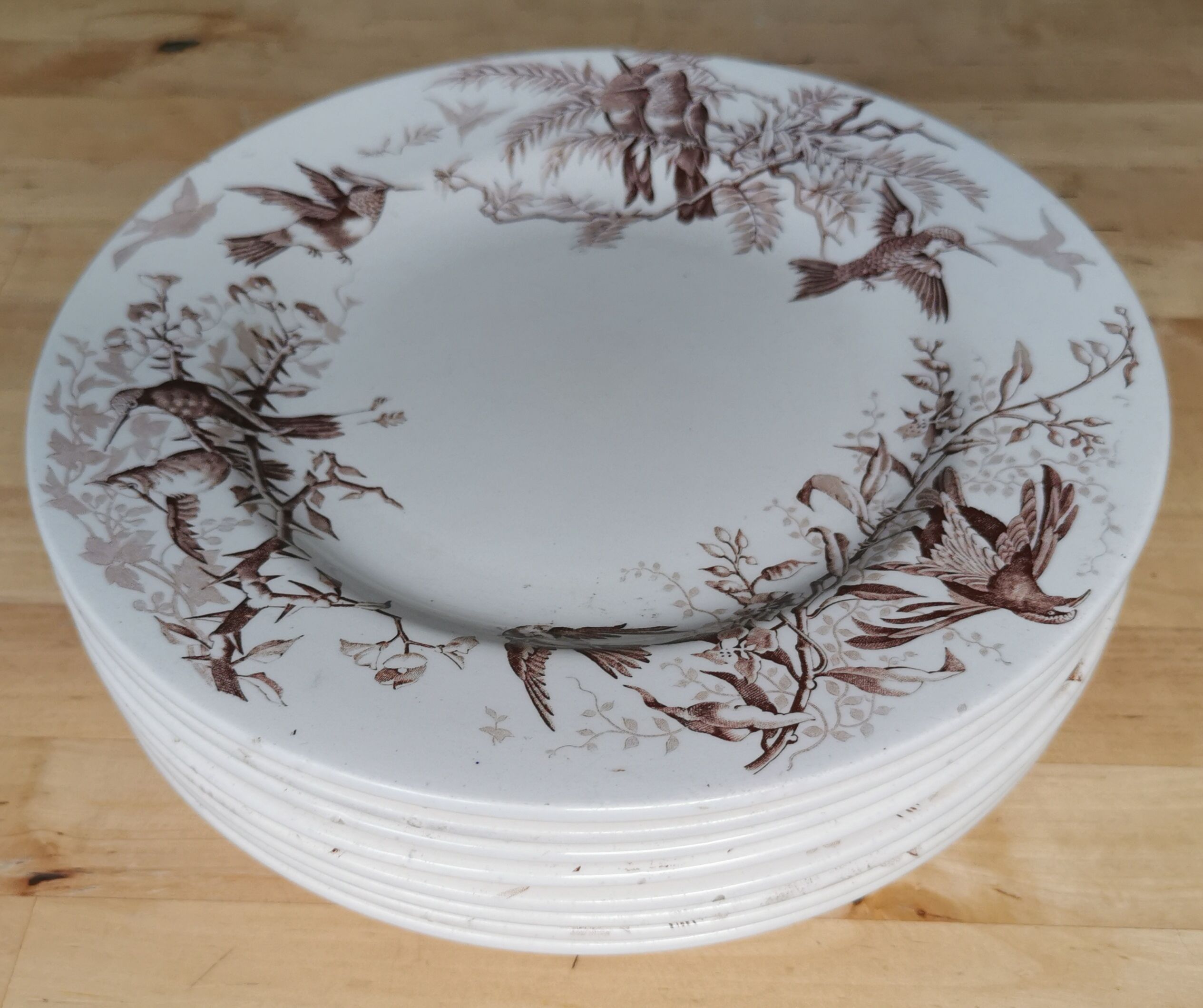 Lot of 8 Colibri luneville plates