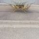 Vintage gold metal coffee table and glass top