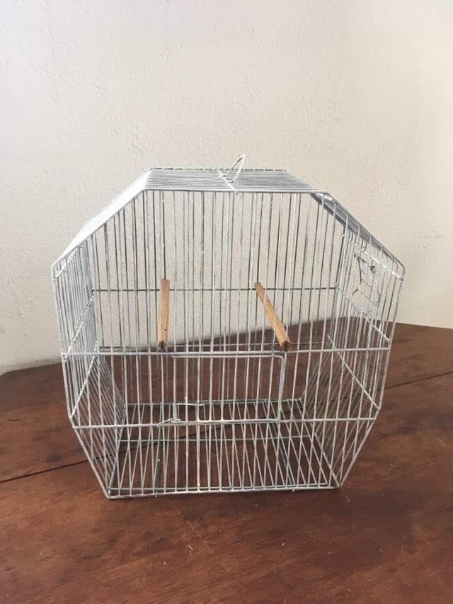Old bird cage decoration