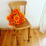 Stella 50' counter chair