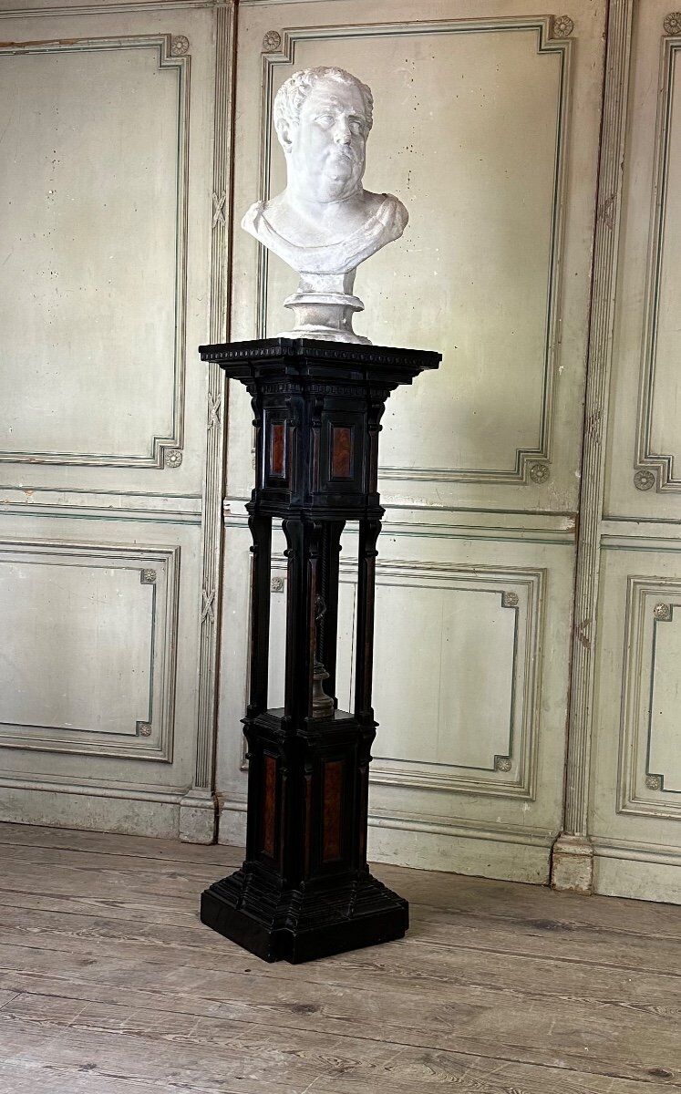 A pedestal table in blackened wood and burl veneer, superb assembly of moldings circa 1880